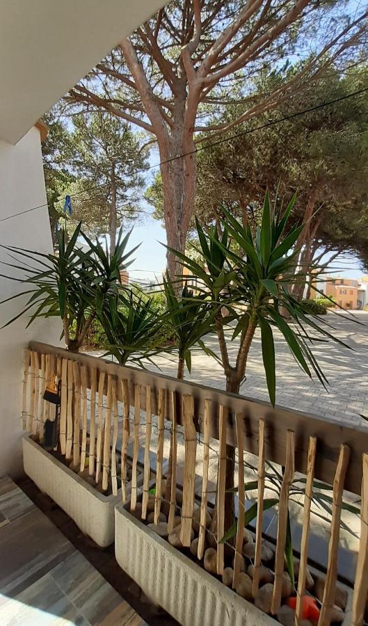 לה-גרו-דו-רואה T2-3 Cabine Les Yuccas 200 M Plage Du Boucanet Rive Droite Grau Du Roi Ideal 2-4 Pers מראה חיצוני תמונה